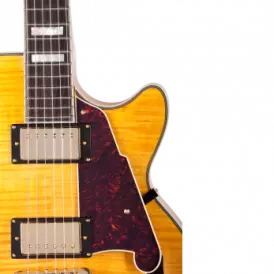 Single Cut Semi-Hollow Electric Guitar - Natural
